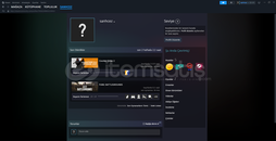 4 level 3000 saatlik cs2 hesabı