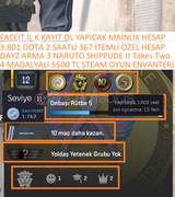 4 MADALYALI 5 LV DAYZ ARMA 3 5500 TL STEAM OYUN