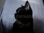 4 MOONSEYE TOME | DEEPWOKEN