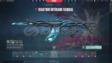  4 VANDALLI OPLİ DOLU 107LVL HESAP