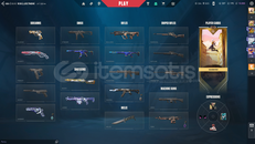 4 VANDALLI TAM MAİNLİK CHAR