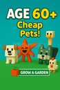✨6 X 60+ AGE PET ✨ ✨6 X 60+ AGE PET ✨