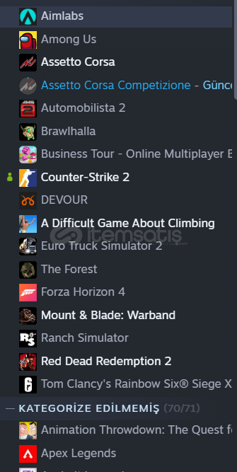 40+ Oyun, 10+ DLC, Seçkin Cs Hesabı
