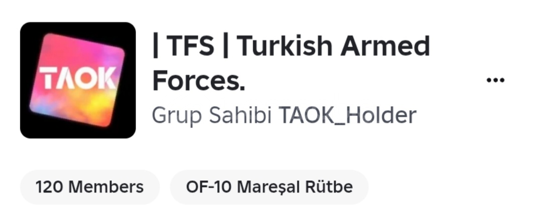 37 ROLLÜ ASKERİ GRUP (MAPLI)