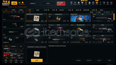 40 SEVİYE DOLU DOLU SINIRSIZLI 142K YATIRILMIS