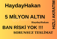 40 Seviye Üzeri 5 M Altın