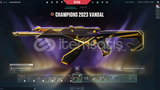 40.000 TL'LİK✨6 VANDAL CHAMPIONSLU HESAP