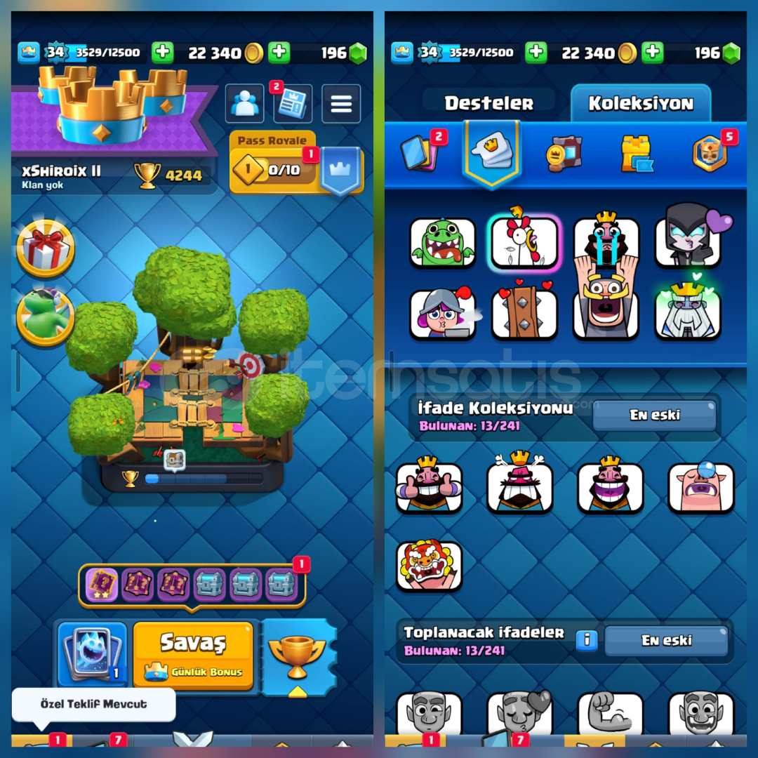 4244Kupa 99Kart 13İfade 4244Kupa 99Kart 13İfade