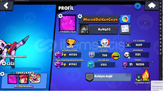 42K MAINLEMELIK HESAP NOT 94 ELMAS CEZASI VAR