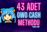  43 ADET OWO CASH METHODU
