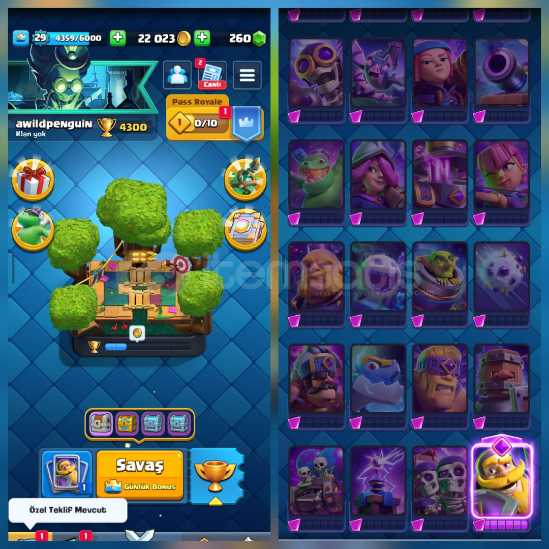 4300Kupa 82Kart 1Evrim 15İfade İsimHakkı 4300Kupa 82Kart 1Evrim 15İfade İsimHakkı