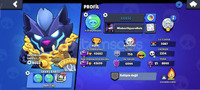 43K+ HESAP | BRAWL STARS