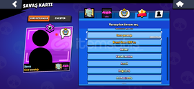 43k lık brawl Stars hesabı 