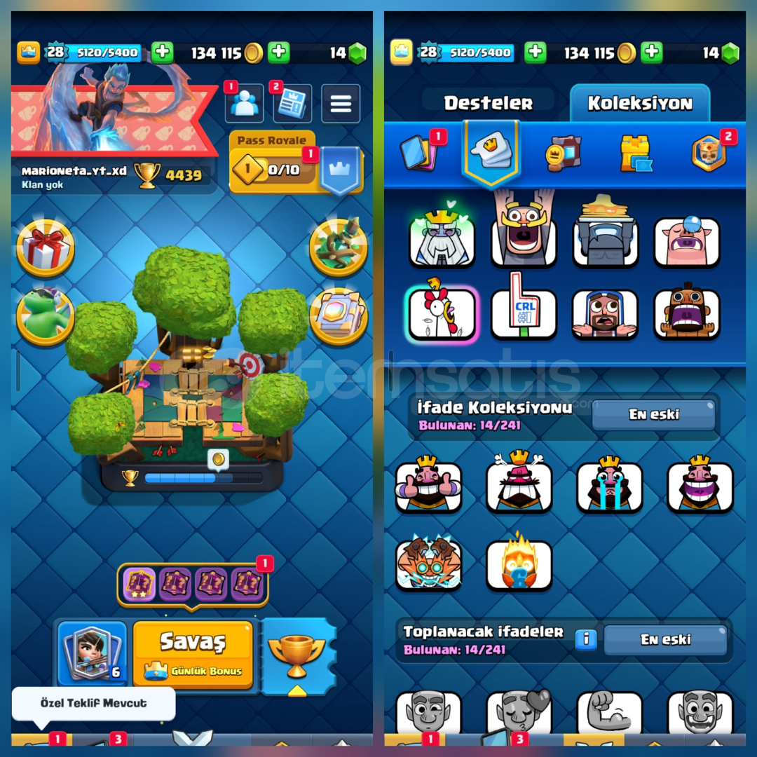 4439Kupa 87Kart 14İfade İsimHakkı 4439Kupa 87Kart 14İfade İsimHakkı