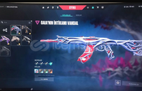 4.500 TL YATIRILMIŞ HESAP 2 BP KARAMBİT