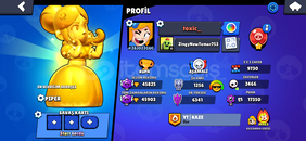 45k kupalı 3 adet altın skin olan full hesap