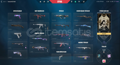 ✨[⚡️+45K VP ENV. / 6 BIÇAK PREMİUM HESAP