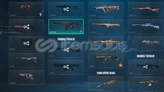 45K VP YATIRILMIŞ NADİR VALO HESABI