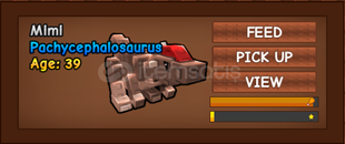 46 age pachycephalosaurus