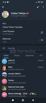 4700 Üyeli Airdrop Grubu Cattea