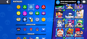 47500 mainlik dopdolu hesap!!!