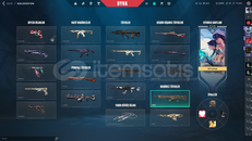 48 GELİŞTİRİLEBİLİR SKİN (15 vandal 7 phantom)