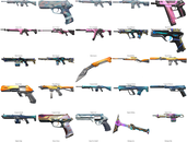 48 Skin, 13850 VP ENVANTER