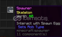 480 SKELETON SPAWNER