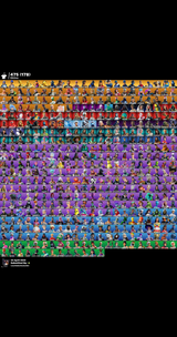 480 SKIN DOLULAR DOLUSU HESAP