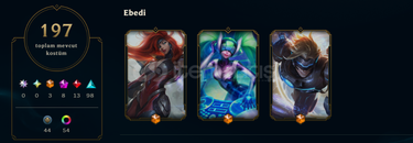 480lvl - RIOT TOTEM - ÖZEL SERİ NADİR SKİNLER