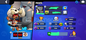 48.200 KUPA 180+SKİN MAİL DEĞİŞİYOR