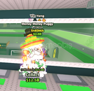 483m Money Money Puggy 