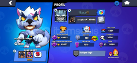 49.000 KUPA DOLU HESAP YENİ E POSTA İLE VERİLİR