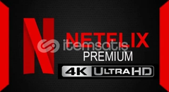  1 AYLIK GARANTİLİ NETFLİX