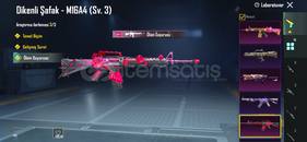 4seviye buz x suitli hesap