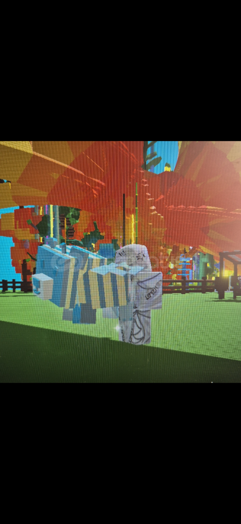 4x bear bee 4x bear bee