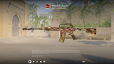 ☘️4x Çıkartmalı M4A1-S | Gazoz☘️