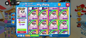 4x Shiny Giftbox King Doggy 4x Shiny Giftbox King Doggy