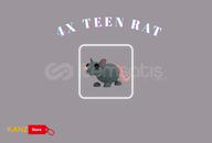⭐️ 4x Teen Rat ⭐️ [EN UYGUN] ⭐️