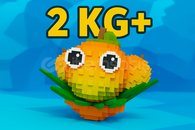 5 ADET 2 KG+ MANGO HEMEN TESLİM