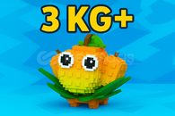 5 ADET 3 KG+ MANGO HEMEN TESLİM