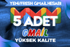 5 ADET GMAİL / YENİ & FRESH / SORUNSUZ