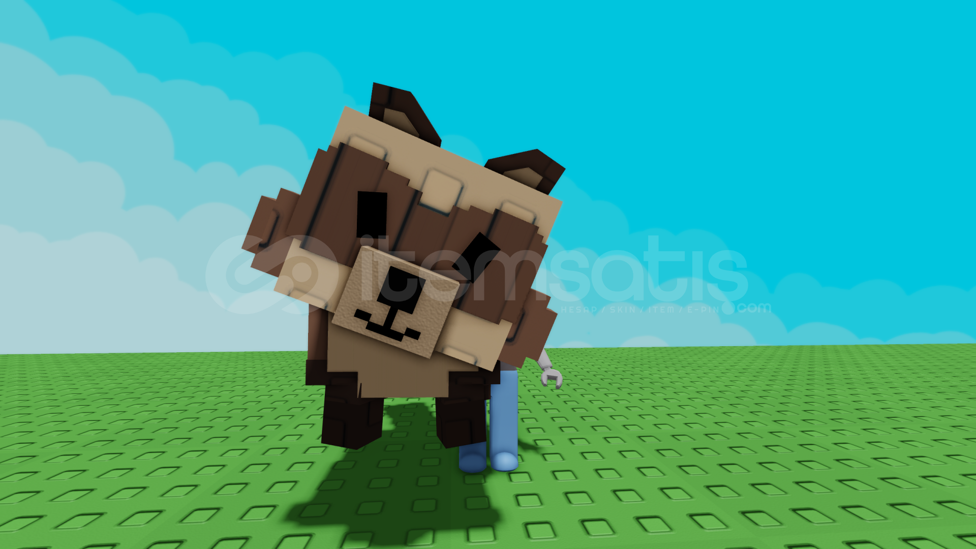 (2 ADET) GROW A GARDEN TANUKI (2 ADET) GROW A GARDEN TANUKI