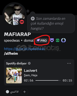 5 Adet Profile Sunucu Rozeti Alma
