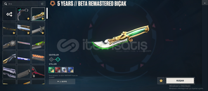 5 bıcak 10 vandal 7 phantom lu hesap