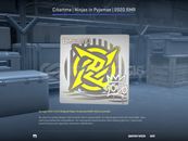 5 Çıkartma | Ninjas in Pyjamas | 2020 