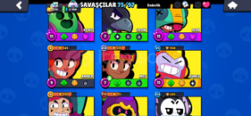 5 hesap COC+CR+BS+HD+SB