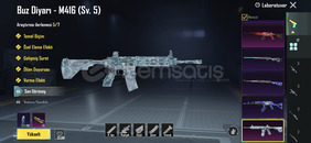 5 SV.BUZ DİYARLI MÜKEMMEL HESAP 