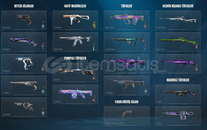 5 vandal+2 phantom+2 spectre+1 bıçak+2 sheriff