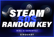 +50$ (1500₺) Steam Key / Oto - Teslimat